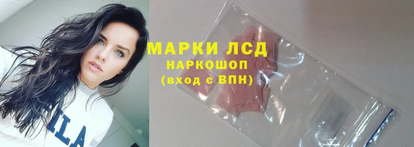 дурь Щучье