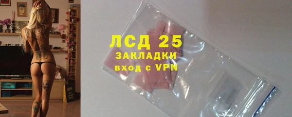 стаф Шали