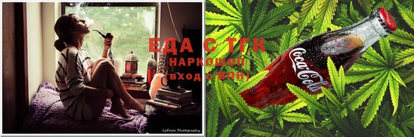 стаф Шали