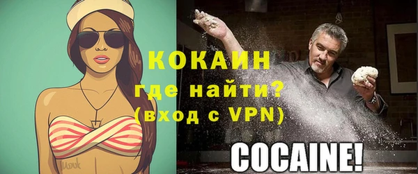 винт Щёлкино