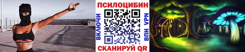 Псилоцибиновые грибы Psilocybe  Купить закладки  Вилюйск 